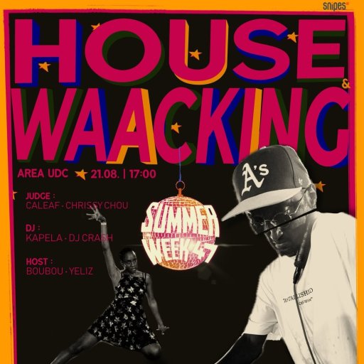 HOUSE & WAACKING NIGHT VOL. 3